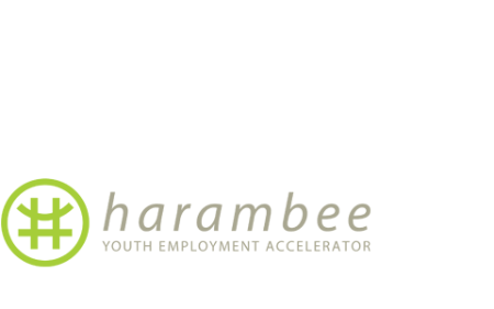 Harambee is a not-for-profit social enterprise with extensive experience building solutions and innovations that can solve the global youth unemployment challenge. 